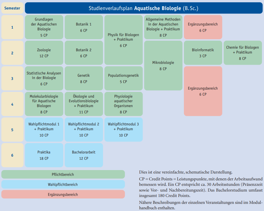 Studienangebot