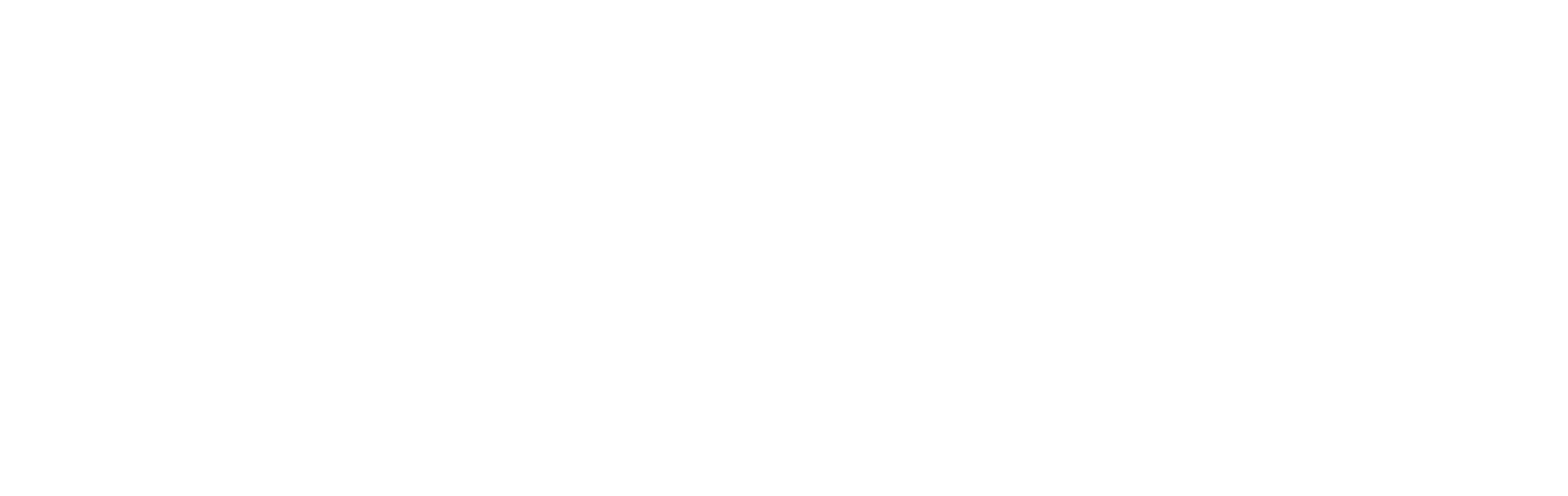 Aurora Logo White 2