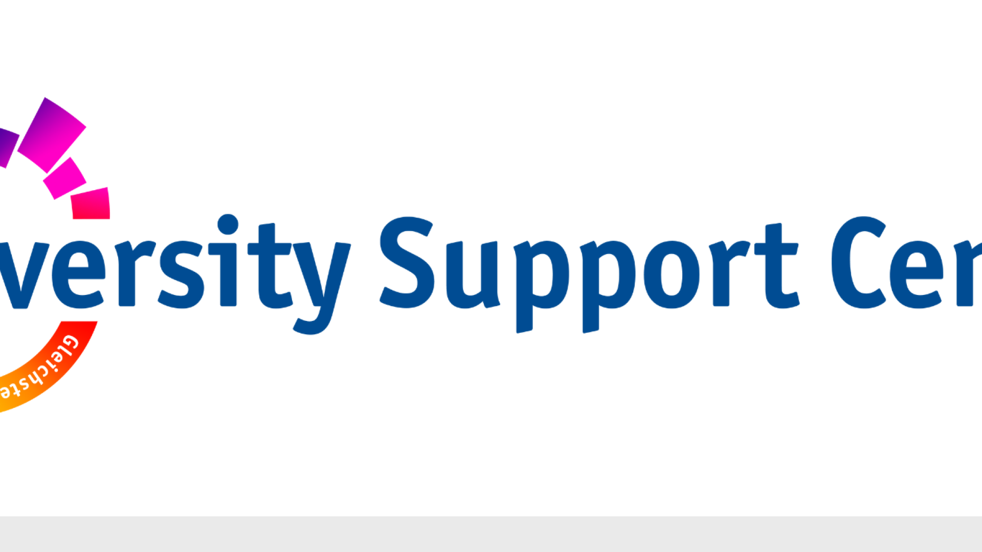 Das Diversity Support Logo auf weißem Grund.