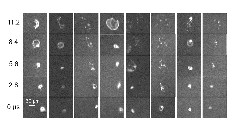 Aufmacher Scientificcameras