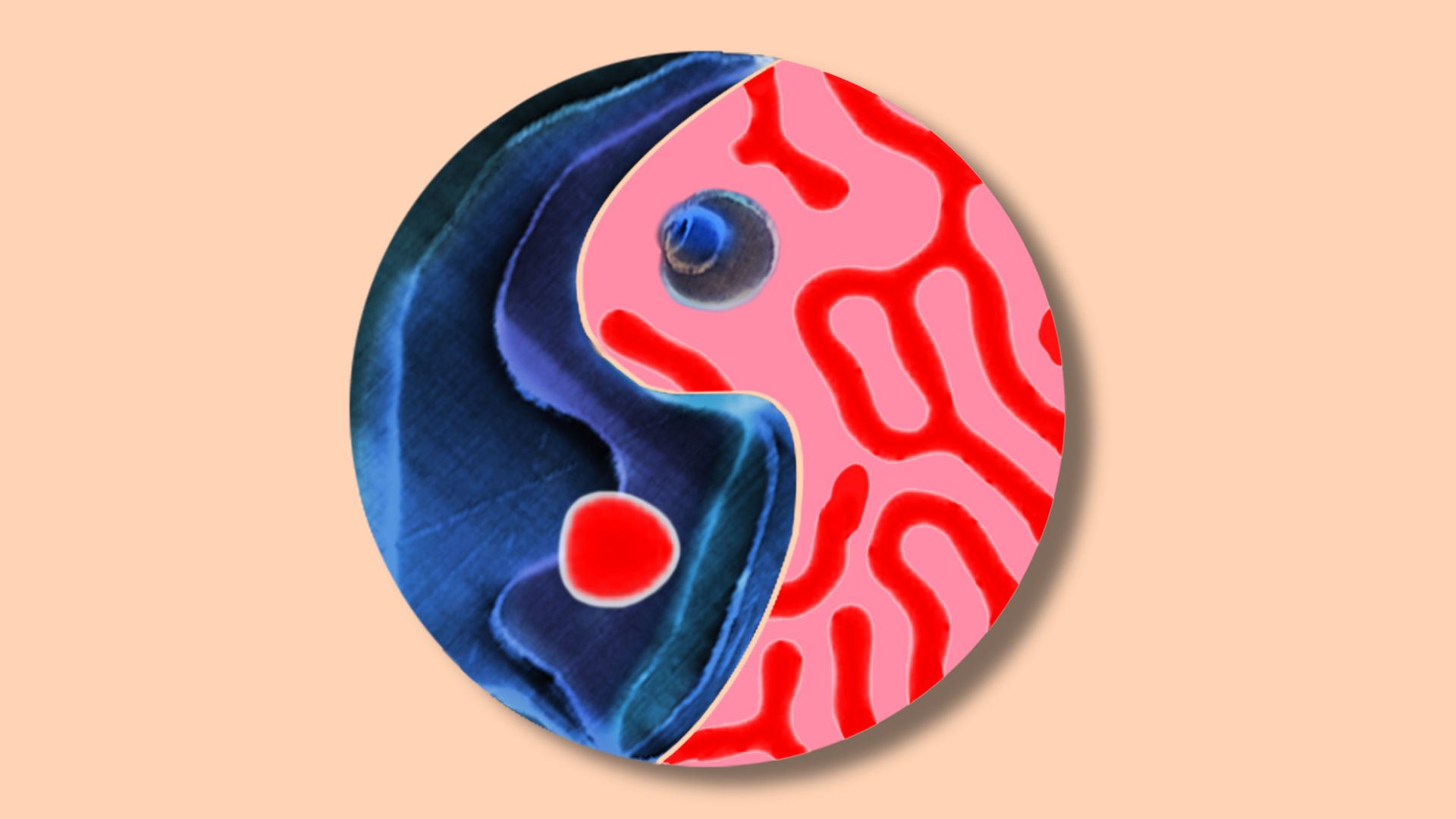 A round structure in the form of yin and yang, formed from ferroelectric (shown in blue) and magnetic patterns (red).