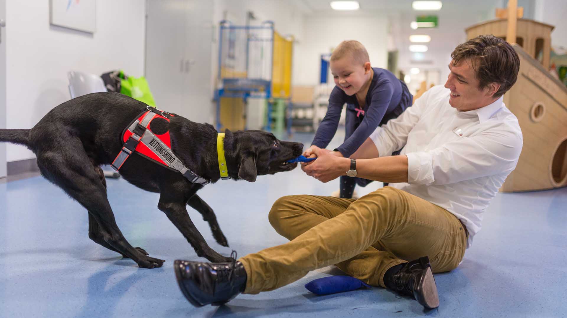 Therapiehund Hannibal spielt mit Patienten in der Kinderonkologie im Universitätsklinikum Essen 