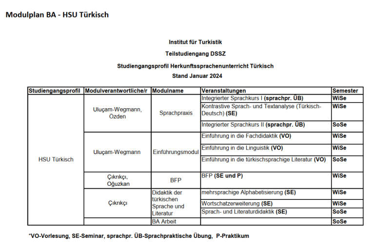 Bild Modulplan BA HSU Türkisch WiSe2524