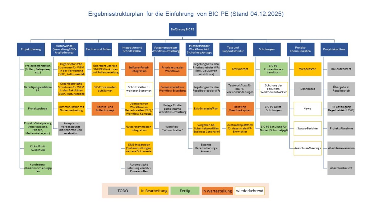 Strukturierter Überblick über die Teilaufgaben des Einführungsprojektes von BIC Process Execution