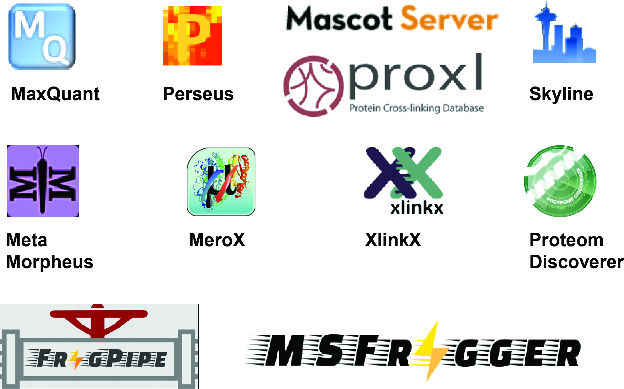 Ace-software-overview